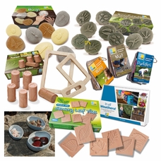 Forest School Collection 